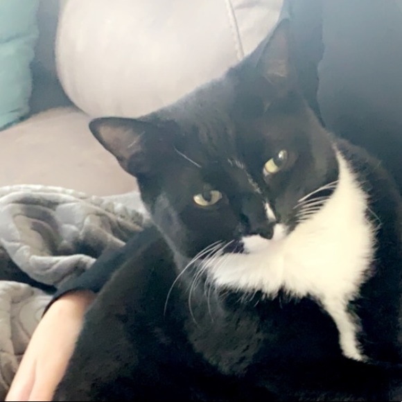 Meet your Posher, Heather - Picture 1 of 1